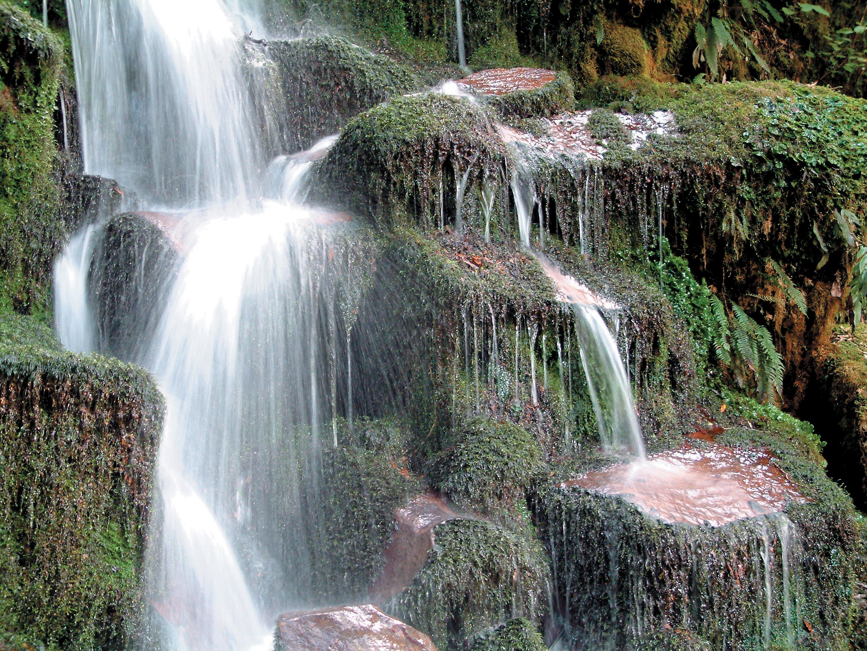 Added natural flavours in pet food