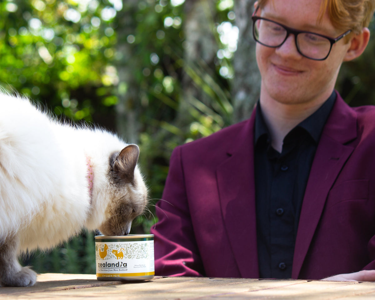 What Ingredient Cause Cats With Urinary Health Problems: Shocking Truths Revealed