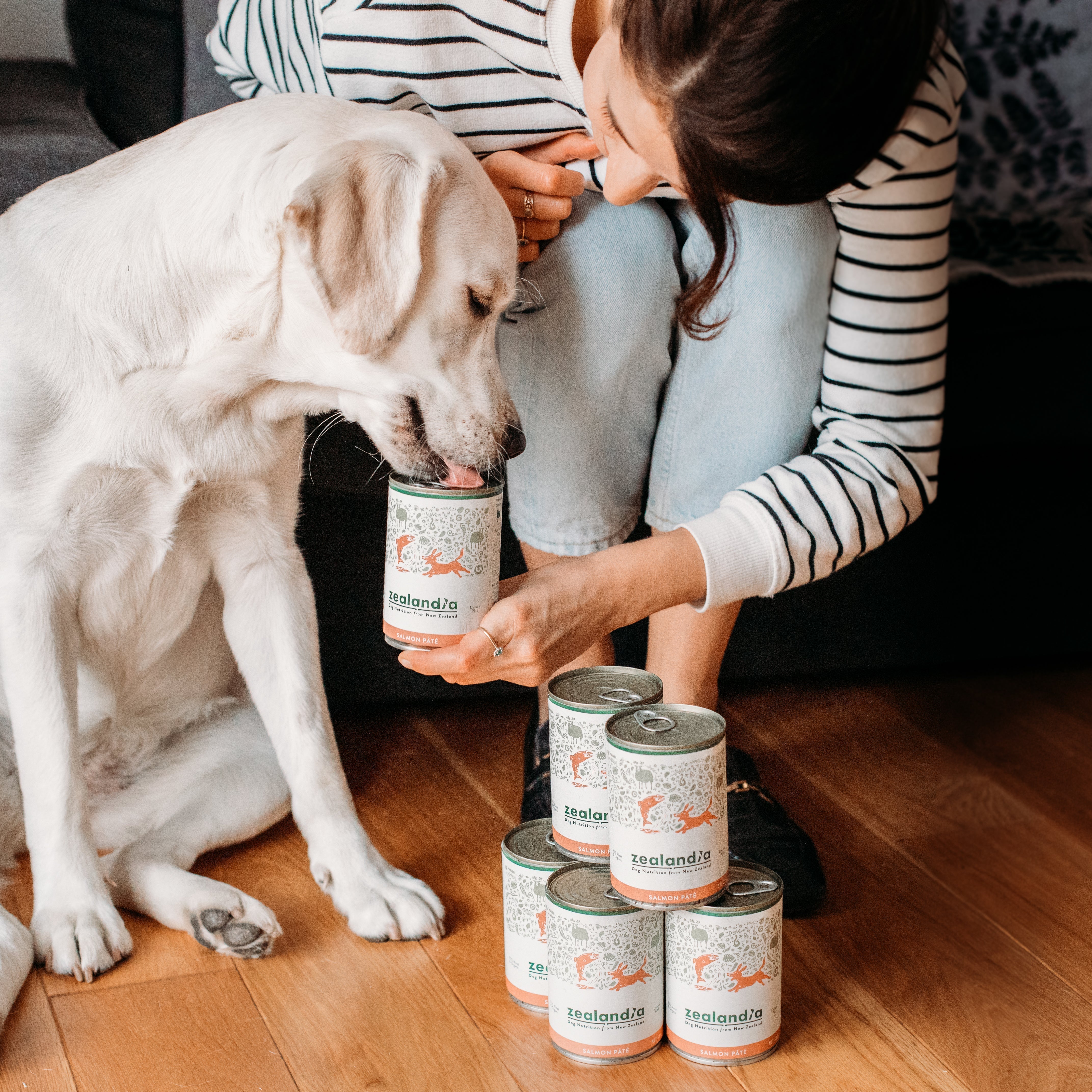 Hepatic Disease - What wet food is best for dogs?