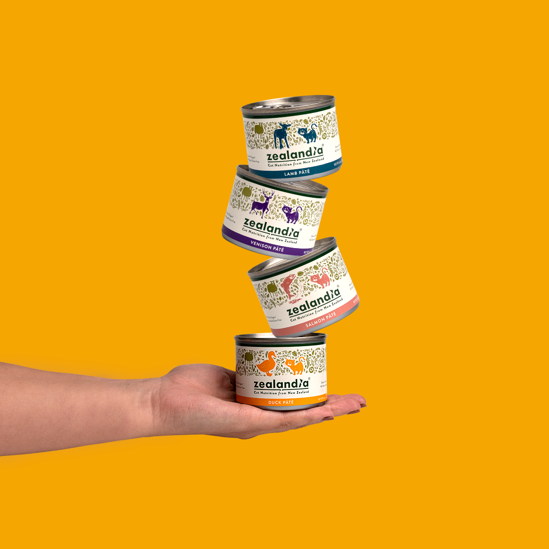 Hyperthyroidism - What wet food is best for cats and dogs?