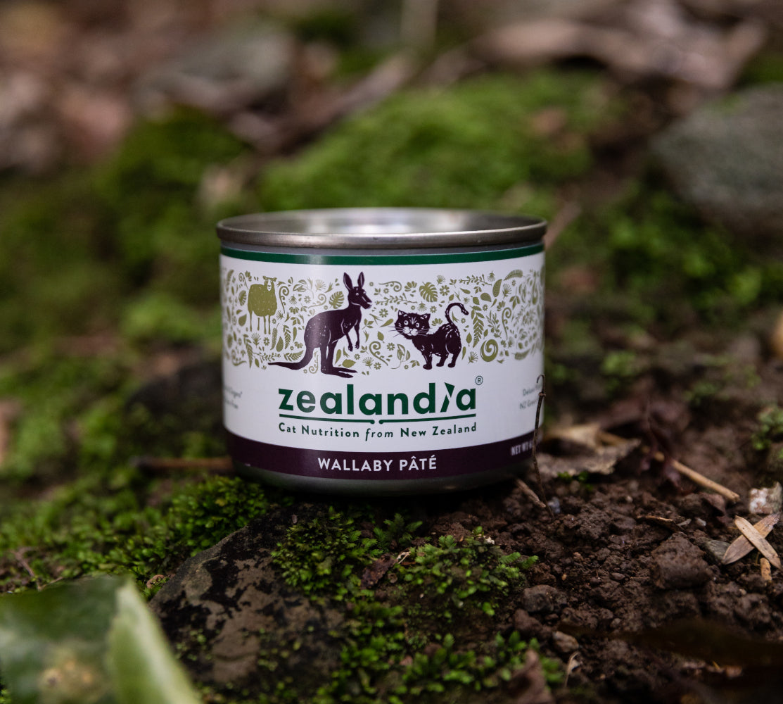 Food Allergies - What are the advantages of feeding hypoallergenic meats?