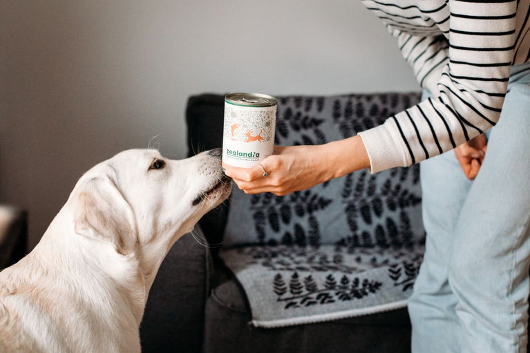 Photo inspiration: Fresh Look at Epilepsy What Wet Food Is Best For Cats And Dogs