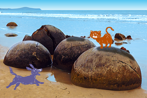 Sustainable Seafood – Zealandia - Pet Nutrition from New Zealand